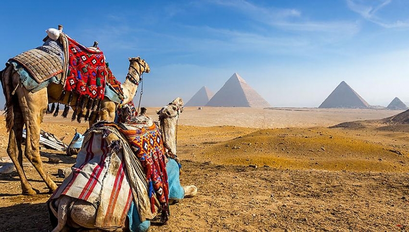 Tour El Cairo Del Puerto de Alejandría a Port Said