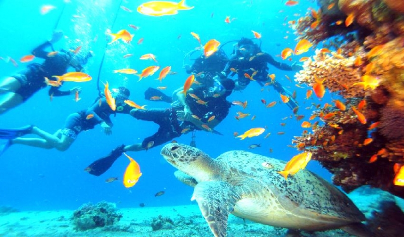 Esnórquel en La Isla De Hamata