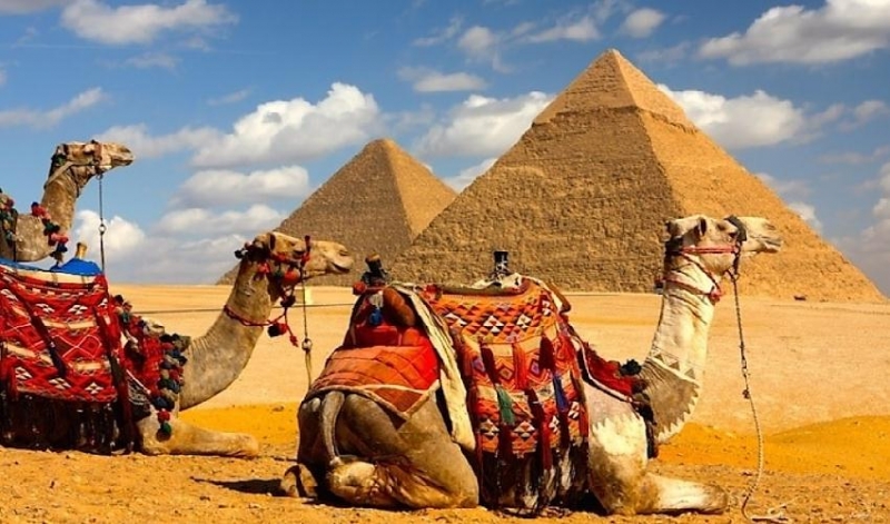 Tours El Cairo y Alejandría del Puerto de Alejandría 