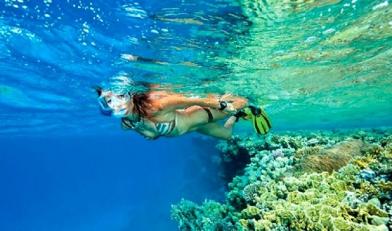 Schnorcheln in Port Ghalib, Marsa Alam Ausflüge
