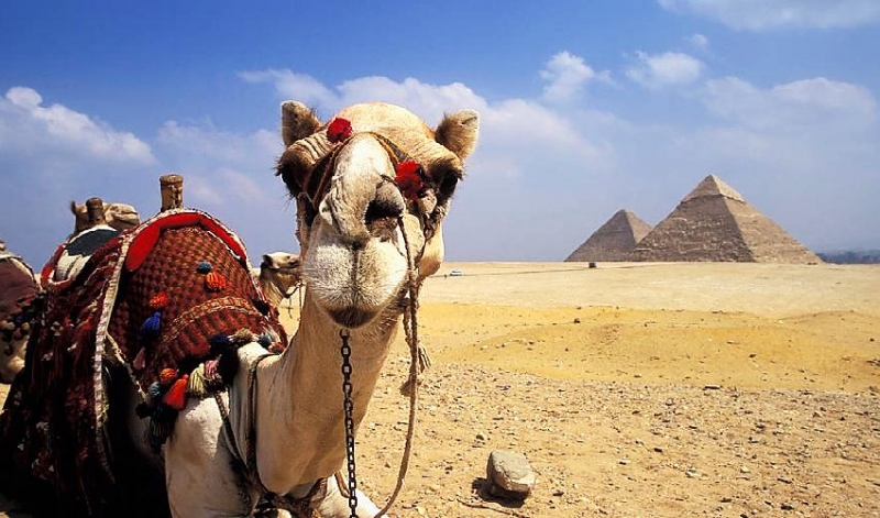 Tour El Cairo Desde Marsa Alam
