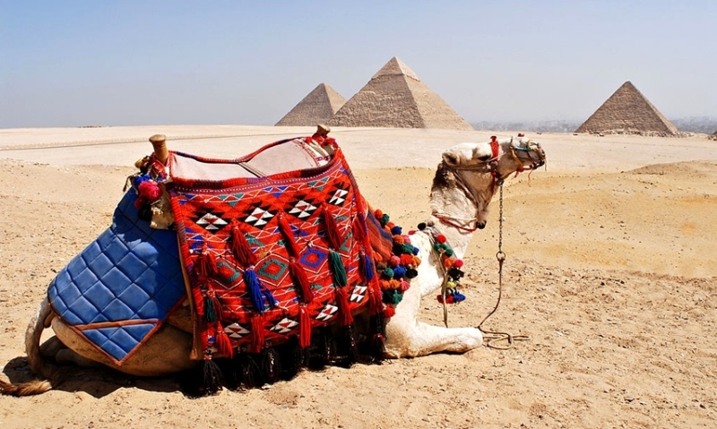 The best things to see in Cairo