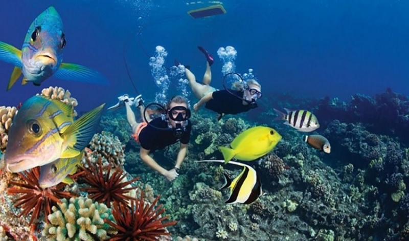 Marsa Alam Ausflüge, Schnorcheln in Port Ghalib