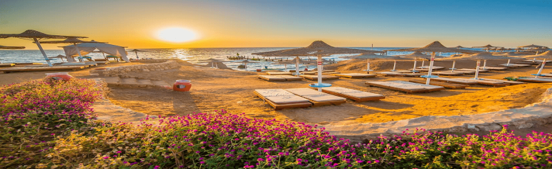Egypt Travel Tips for Foreigners