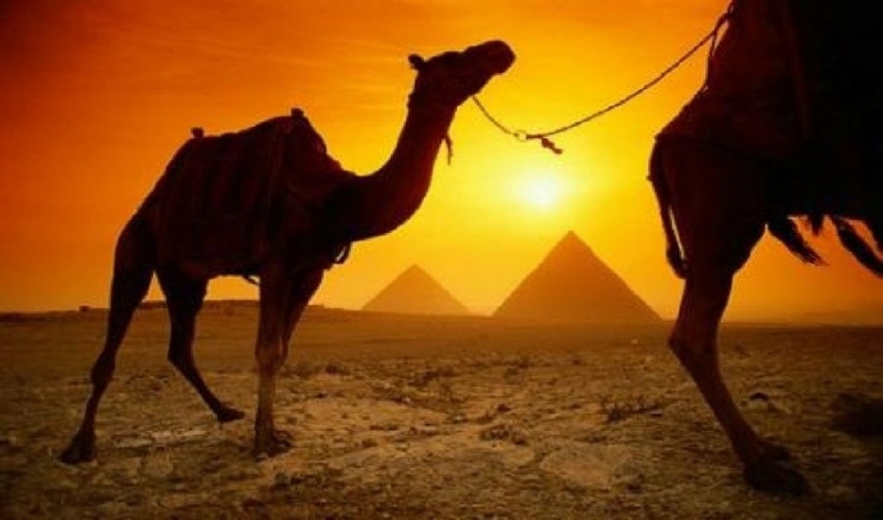Viajes a Egipto en Diciembre (Fin de año)