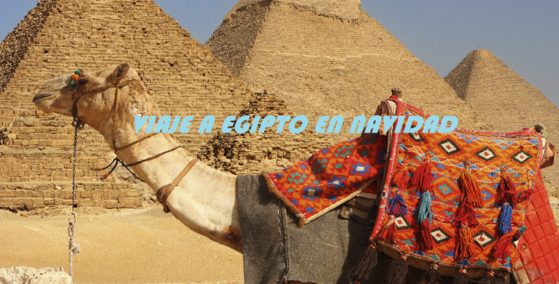 Viaje a Egipto en Navidad
