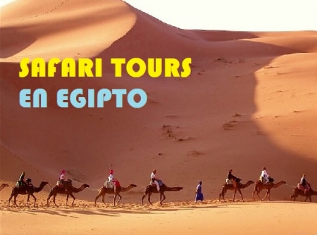 Safari Viajes a Egipto