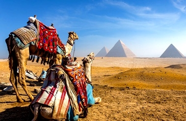 Excursions Au Caire