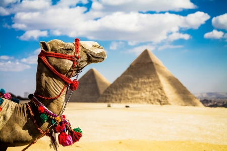 Budget Voyage Égypte