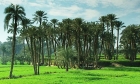 Oasis de El Fayoum