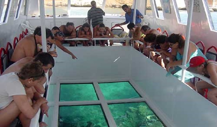 Glass Boat Tour from El Gouna