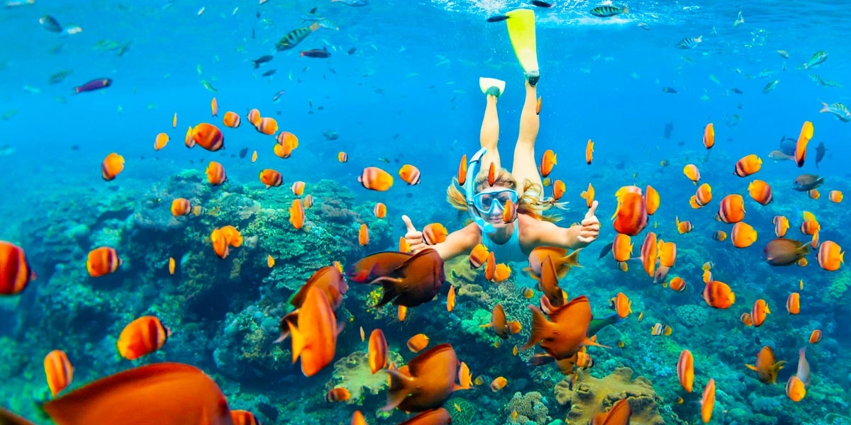 Orange Bay Snorkeling Tour from El Gouna