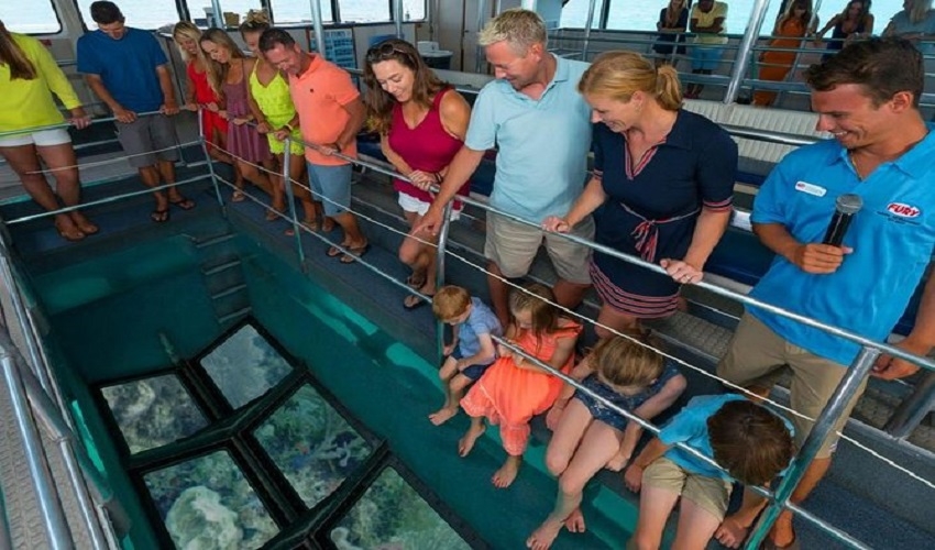 Glass Boat Tour from El Gouna