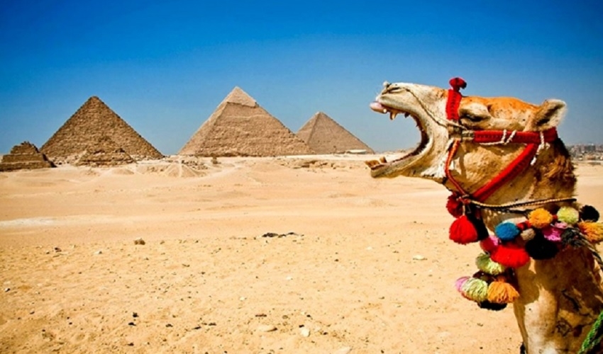 Kairo und Luxor Touren von Marsa Alam