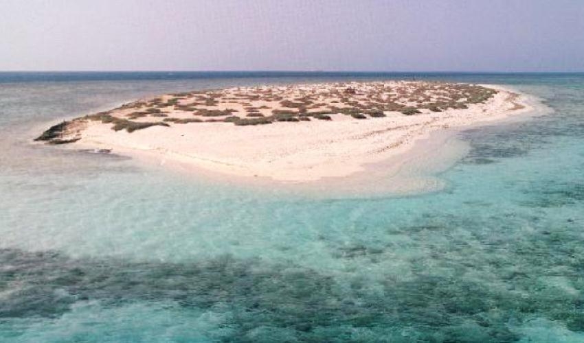 Excursión de Esnórquel en La Isla De Hamata desde Marsa Alam