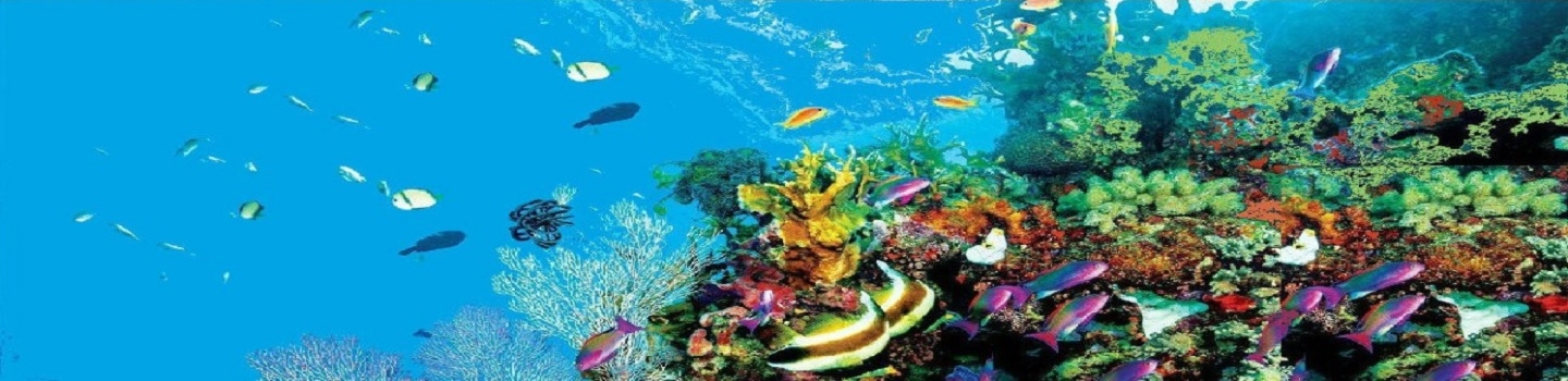 Sharm El Sheikh Tourist-Attraktionen