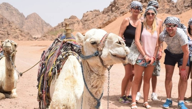 Sharm El Sheikh Camel Ride