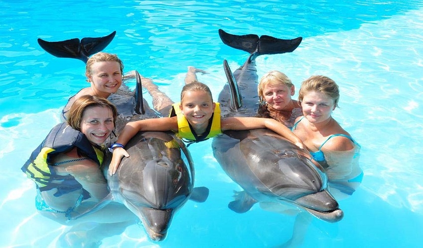 Dolphin House Private Tour from El Gouna