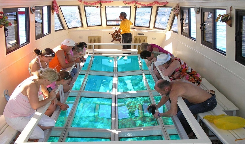 Glass Boat Tour from El Gouna