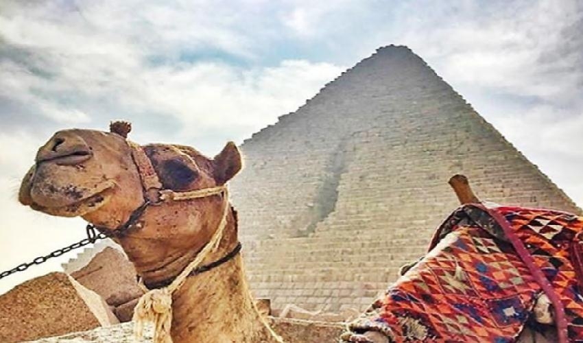 Paseo en Camello o Caballo en Las Pirámides