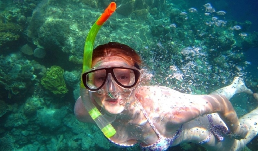 Ras Mohamed Snorkeling Voyage