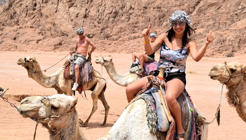 Sharm El Sheikh Camel Ride